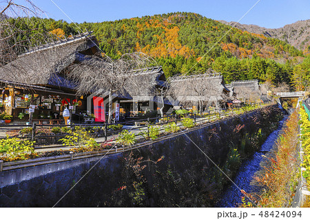 【山梨県】紅葉の西湖いやしの里根場 【山梨県】紅葉の西湖いやしの里根場 48424094