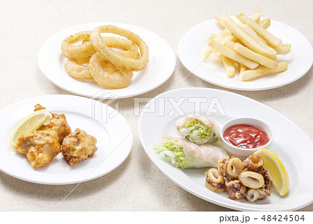 フライ料理 お酒のおつまみ 揚げ物料理 フライ料理 お酒のおつまみ 揚げ物料理 48424504