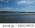 和歌浦の干潟 48424656