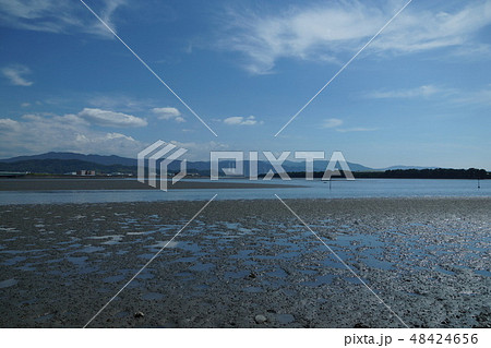和歌浦の干潟 48424656