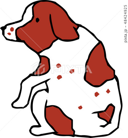 犬 犬種 かわいい 下手 手描き ラフスケッチのイラスト素材