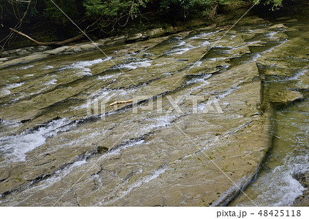 粟又の滝自然遊歩道 養老渓谷 千葉 粟又の滝自然遊歩道 養老渓谷 千葉 48425118