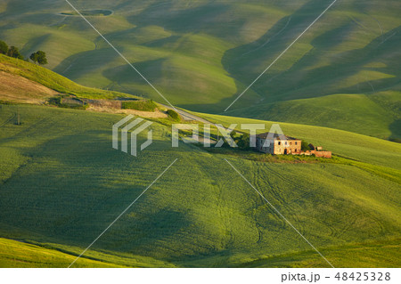 Green Tuscany hills Green Tuscany hills 48425328