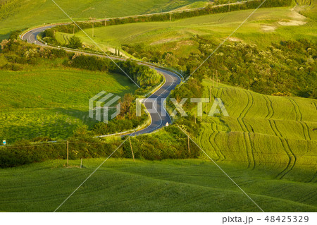 Green Tuscany hills Green Tuscany hills 48425329