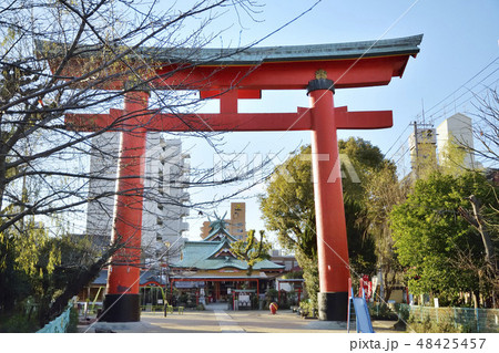 尼崎戎神社 大鳥居 尼崎戎神社 大鳥居 48425457