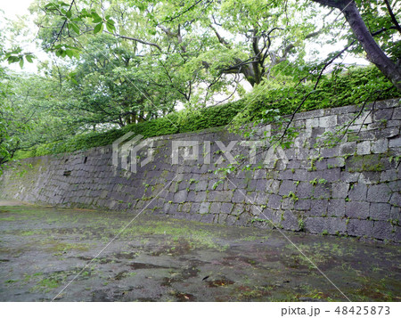 鹿児島城 100名城 鹿児島城 100名城 48425873