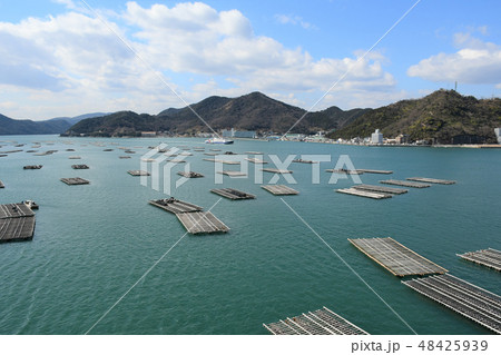 日生　牡蠣筏 48425939