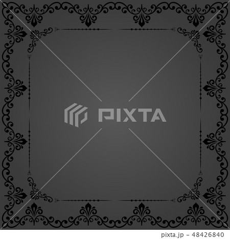 Floral Vector Fine Frame 48426840