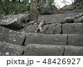 和歌山城の小人 48426927
