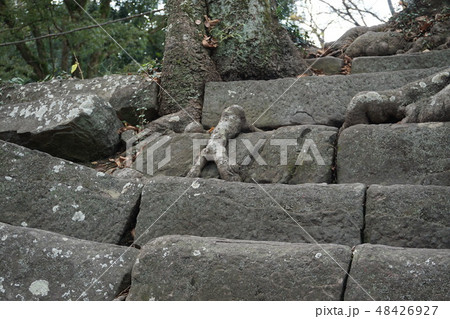 和歌山城の小人 48426927