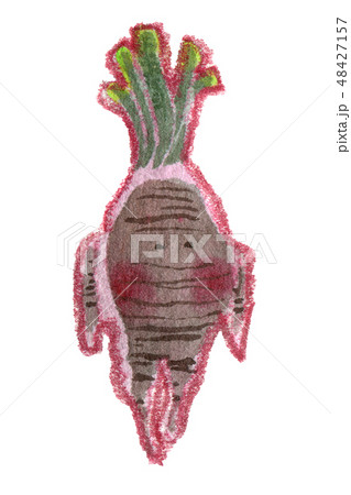 Little cute watercolor mandrake character on white 48427157