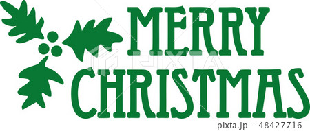 Merry christmas with mistletoe 48427716