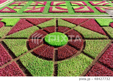 Decorated meadow in Jardim Botanico Garden Madeira 48427732