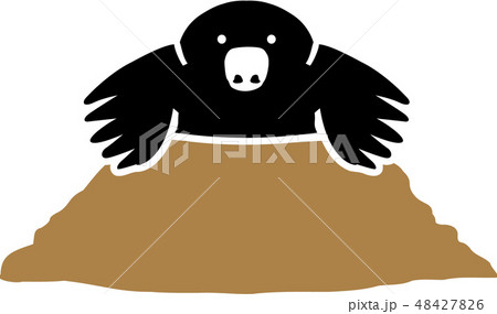 Mole sitting in a hole 48427826