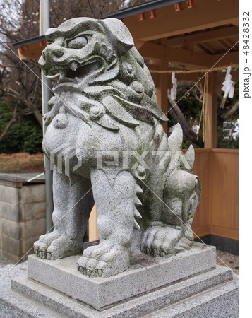 狛犬 48428332