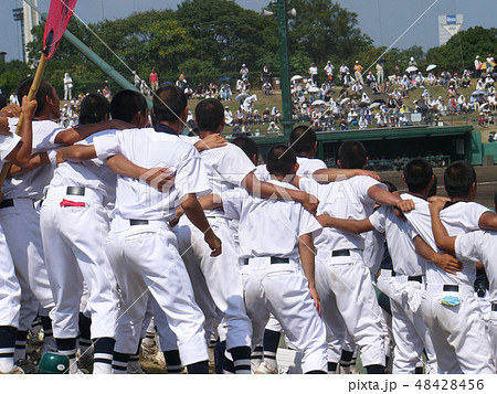 高校野球の応援 高校野球の応援 48428456