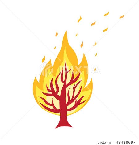 forest fire icon forest fire icon 48428697