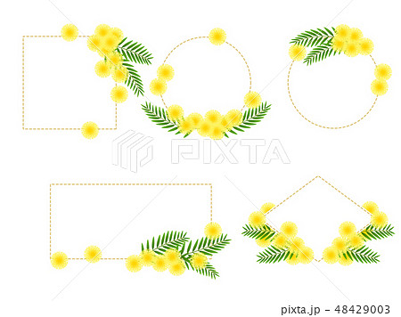 ミモザの花のイラストのフレームのイラスト素材
