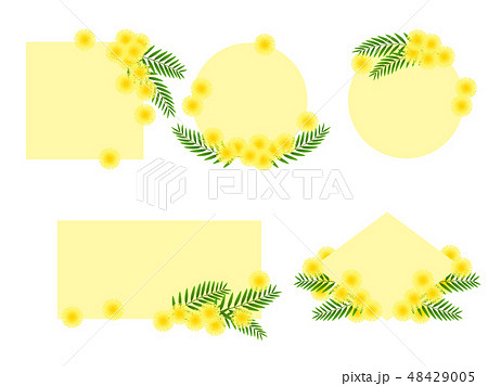 ミモザの花のイラストのフレームのイラスト素材 48429005 Pixta