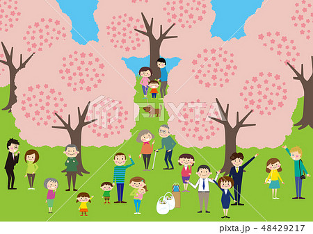 お花見で桜を楽しむ人々 48429217