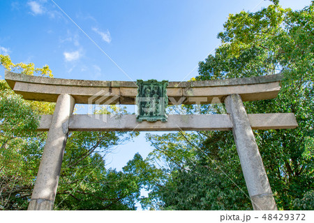 大山祇神社の鳥居を見上げる 大山祇神社の鳥居を見上げる 48429372