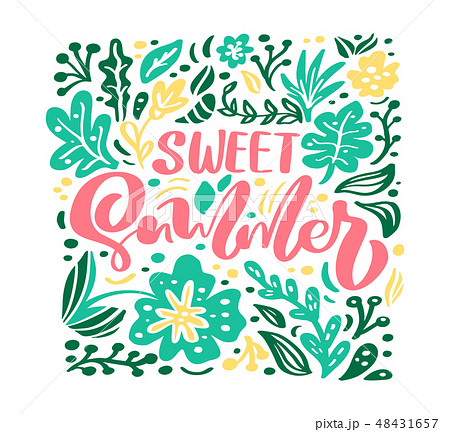 Flower Vector greeting card with text Sweet Summer. Isolated colored flat illustration on white 48431657