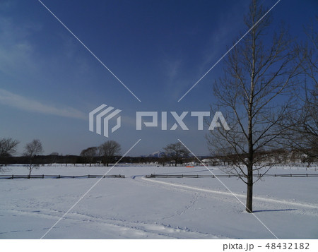 北海道の雪原と木立 48432182