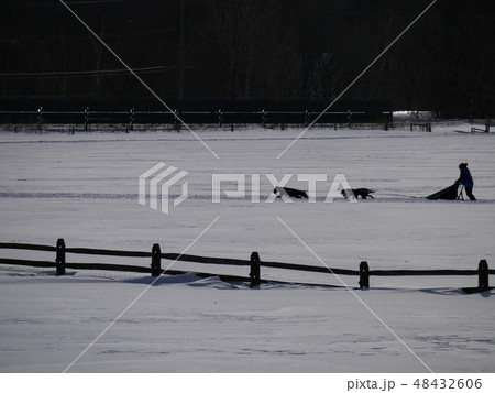 犬ぞりレース4ドッグ 遠景 シルエット 犬ぞりレース4ドッグ 遠景 シルエット 48432606