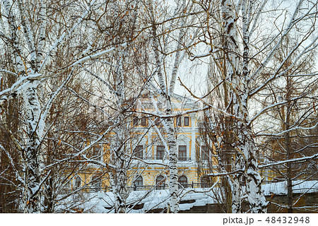 mansion in a winter birch grove above the overpass mansion in a winter birch grove above the overpass 48432948