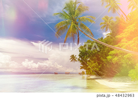 Background of Paradise island -  landscape 48432963
