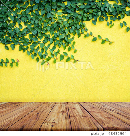 Empty Wood Table Top with Green leaves on yellow concrete wall background ,Ready used us display or 48432964