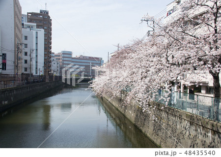 呑川 呑川 48435540