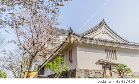 春の大多喜城の風景 48437454