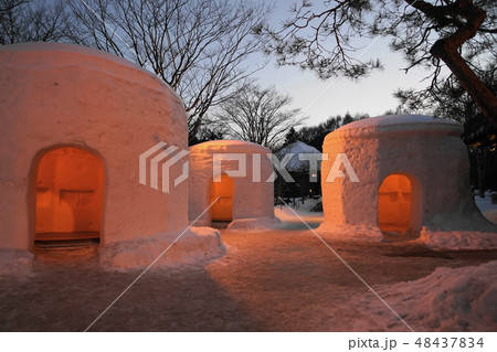 2月　日光184湯西川温泉かまくら・平家の里雪景色ライトアップ 48437834