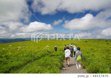 夏の霧ヶ峰高原 48437870