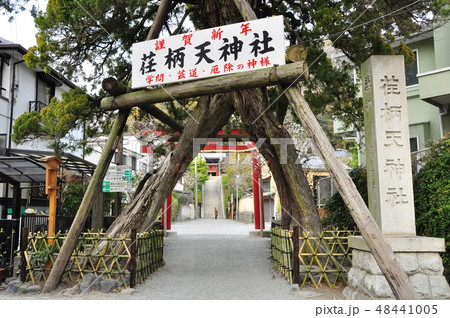 鎌倉市 荏柄天神社の参道入り口 鎌倉市 荏柄天神社の参道入り口 48441005