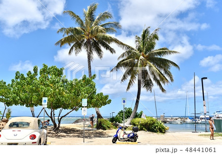 ハワイの休日 48441061