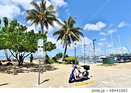 ハワイの休日 ハワイの休日 48441062