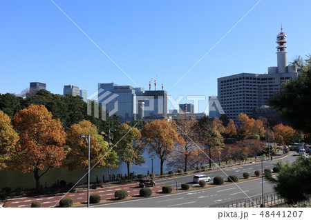 秋の東京都千代田区霞ヶ関の風景 秋の東京都千代田区霞ヶ関の風景 48441207