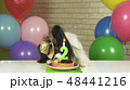Fancy Dog Papillon eating birthday cake with candle 48441216