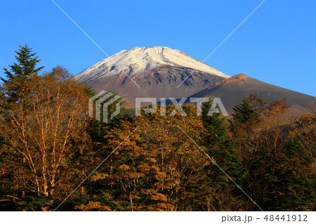 世界遺産　富士山　水が塚公園　紅葉 48441912