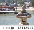灯篭 48442513