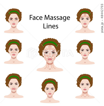Vector illustration face massage instructions Vector illustration face massage instructions 48442703