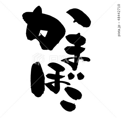 筆文字　蒲鉾　かまぼこ　食べ物　イラスト 48442710