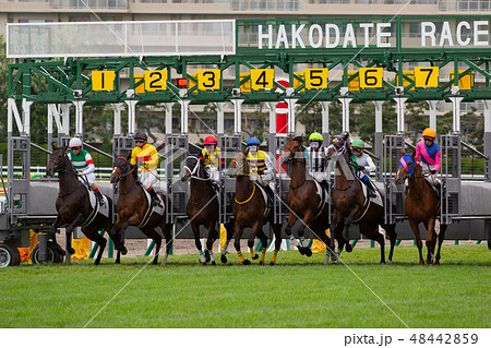 日本の競馬 競馬場 ゲート の写真素材