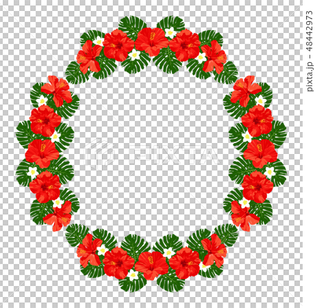赤いハイビスカス モンステラ プルメリア フレーム 円形のイラスト素材