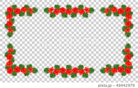 Red hibiscus Monstera Plumeria Frame 48442979