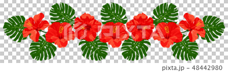 Red Hibiscus Monstera Decoration Red Hibiscus Monstera Decoration 48442980