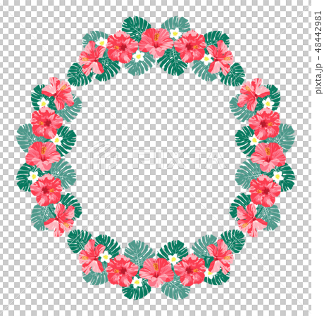 Pink Hibiscus Monstera Plumeria Frame Round Pink Hibiscus Monstera Plumeria Frame Round 48442981