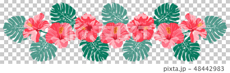 Pink hibiscus monstera decoration Pink hibiscus monstera decoration 48442983